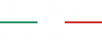 Logo Accademia